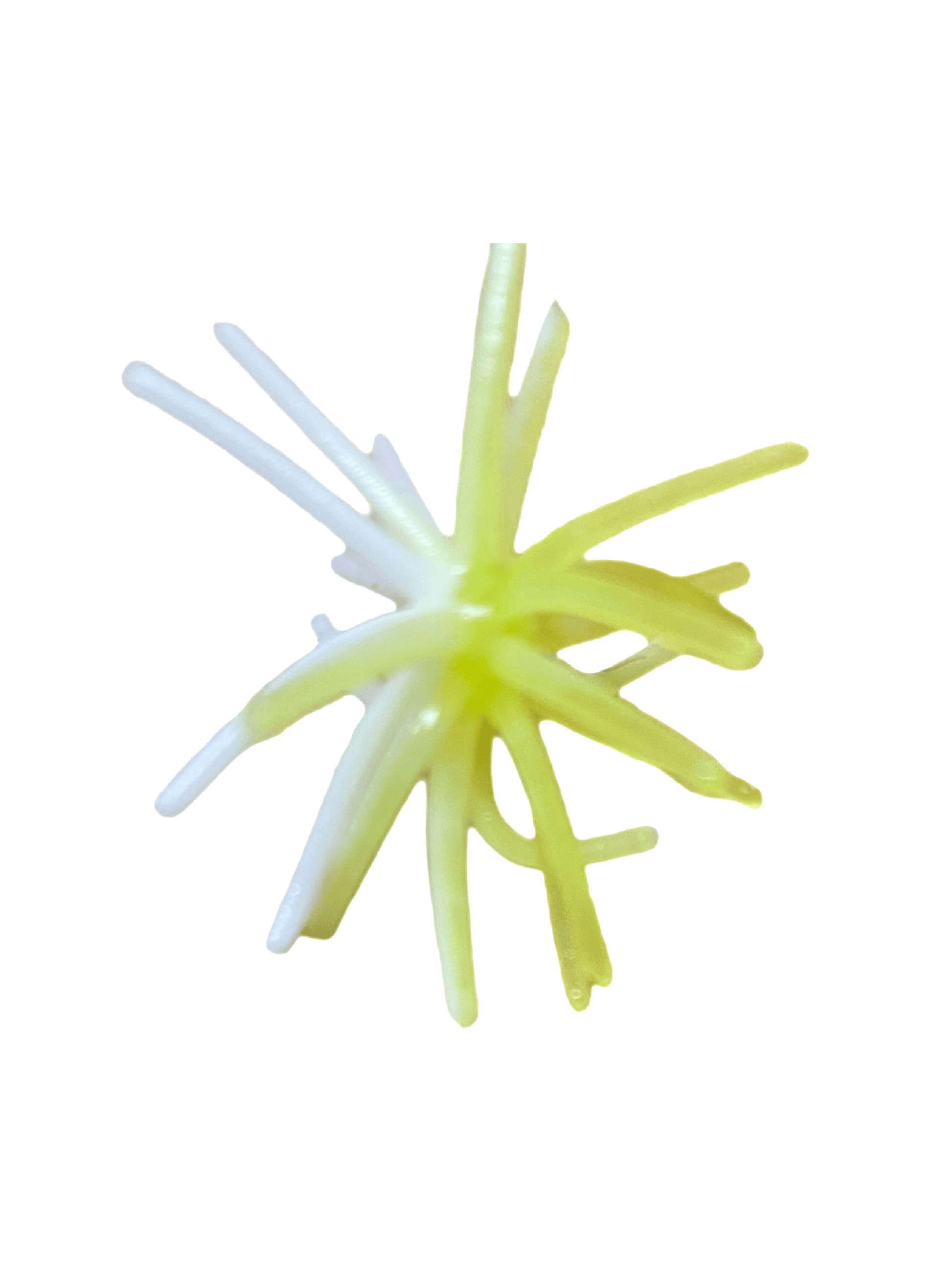 Sharphooklures.com Soft Plastics White / Chartreuse Mini Nemesis 6.2mm